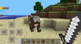 Screenshot_20230614-131429_BlockLauncher Pro.jpg