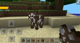 Screenshot_20230614-131419_BlockLauncher Pro.jpg